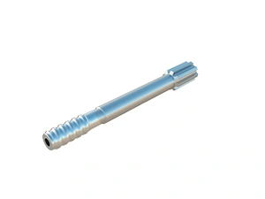 Shank